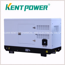20kw 30kw 40kw 50kw Small Power Global Warranty Silent Diesel Generator